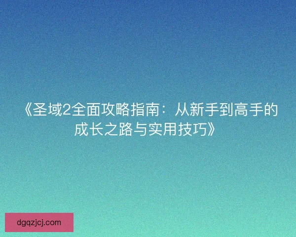 《圣域2全面攻略指南：从新手到高手的成长之路与实用技巧》