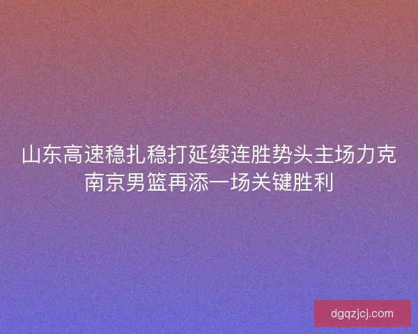 山东高速稳扎稳打延续连胜势头主场力克南京男篮再添一场关键胜利