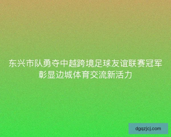 东兴市队勇夺中越跨境足球友谊联赛冠军彰显边城体育交流新活力